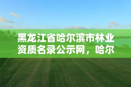 黑龙江省哈尔滨市林业资质名录公示网,哈尔滨林业部门电话