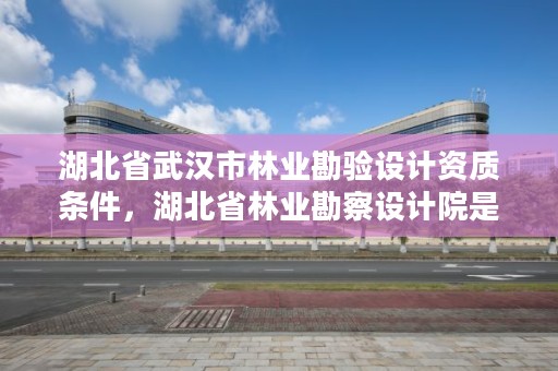 湖北省武汉市林业勘验设计资质条件,湖北省林业勘察设计院是国企吗