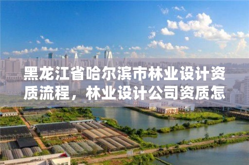 黑龙江省哈尔滨市林业设计资质流程,林业设计公司资质怎么办