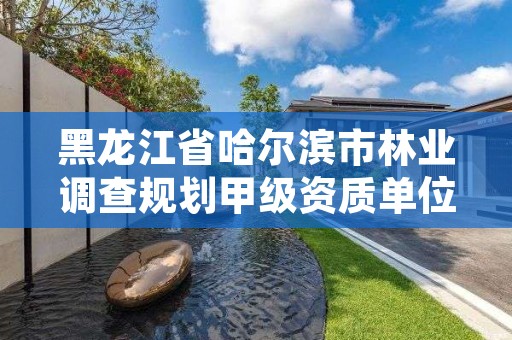 黑龙江省哈尔滨市林业调查规划甲级资质单位,哈尔滨有几个林业局