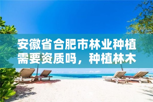 安徽省合肥市林业种植需要资质吗，种植林木需办什么证