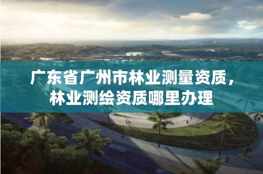 广东省广州市林业测量资质,林业测绘资质哪里办理