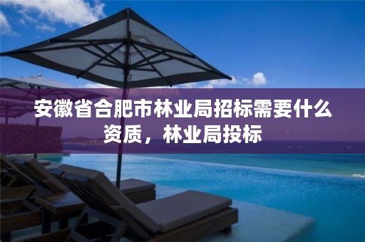 安徽省合肥市林业局招标需要什么资质，林业局投标