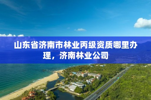 山东省济南市林业丙级资质哪里办理,济南林业公司