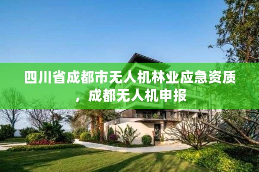 四川省成都市无人机林业应急资质,成都无人机申报