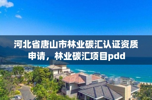 河北省唐山市林业碳汇认证资质申请,林业碳汇项目pdd