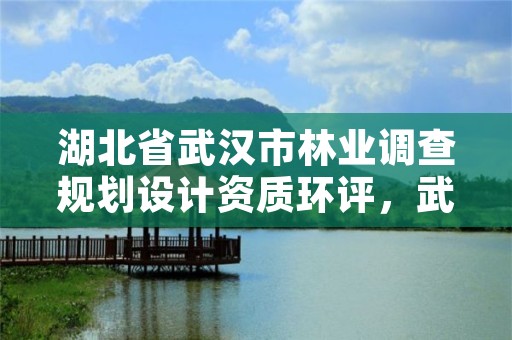湖北省武汉市林业调查规划设计资质环评,武汉林业调查规划院