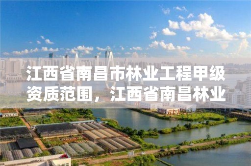 江西省南昌市林业工程甲级资质范围,江西省南昌林业学校