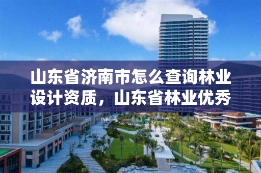 山东省济南市怎么查询林业设计资质,山东省林业优秀设计奖