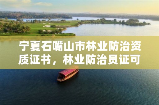 宁夏石嘴山市林业防治资质证书，林业防治员证可以挂靠吗