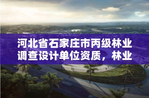 河北省石家庄市丙级林业调查设计单位资质,林业调查乙级资质