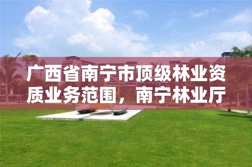 广西省南宁市顶级林业资质业务范围,南宁林业厅在哪里