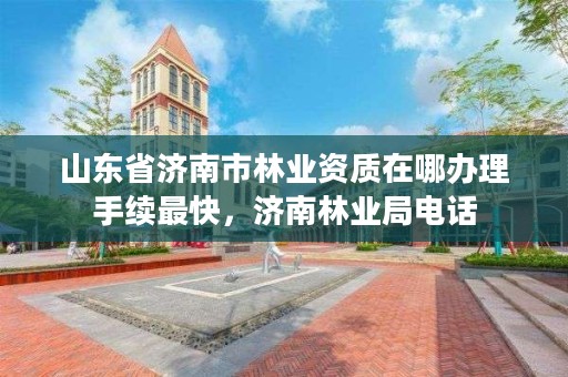 山东省济南市林业资质在哪办理手续最快，济南林业局电话