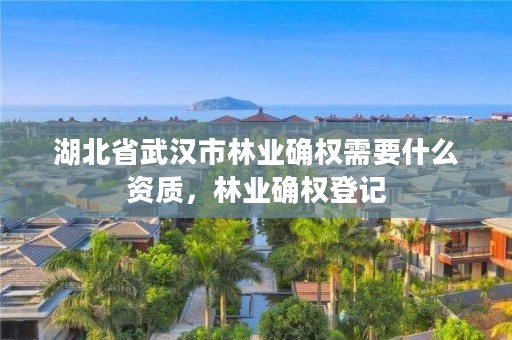 湖北省武汉市林业确权需要什么资质,林业确权登记