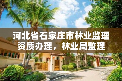 河北省石家庄市林业监理资质办理,林业局监理
