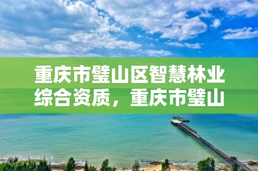 重庆市璧山区智慧林业综合资质,重庆市璧山区智慧林业综合资质办理