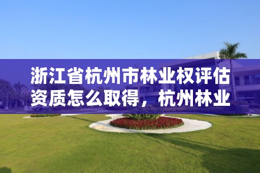 浙江省杭州市林业权评估资质怎么取得，杭州林业厅