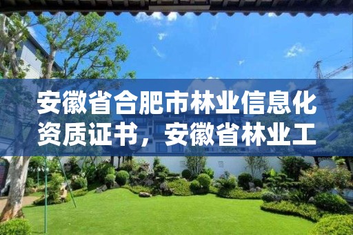 安徽省合肥市林业信息化资质证书,安徽省林业工程系列技术资格评审标准条件