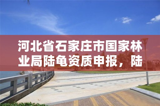 河北省石家庄市国家林业局陆龟资质申报,陆龟上交给林业局还是森林公安
