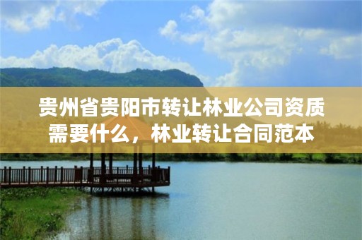贵州省贵阳市转让林业公司资质需要什么,林业转让合同范本