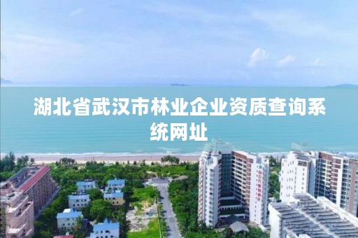 湖北省武汉市林业企业资质查询系统网址