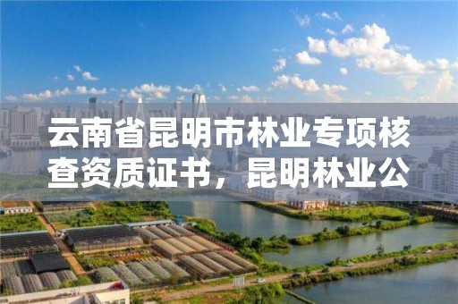 云南省昆明市林业专项核查资质证书,昆明林业公司