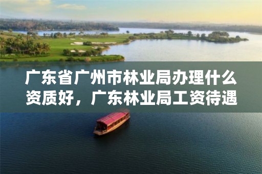 广东省广州市林业局办理什么资质好，广东林业局工资待遇怎么样