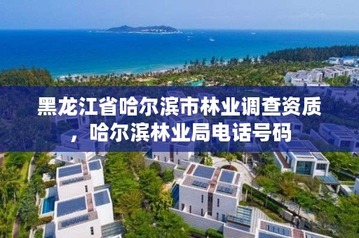 黑龙江省哈尔滨市林业调查资质，哈尔滨林业局电话号码