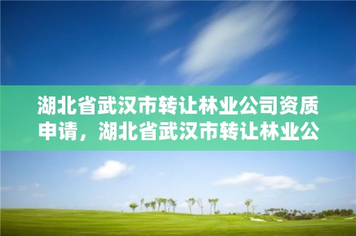 湖北省武汉市转让林业公司资质申请,湖北省武汉市转让林业公司资质申请表