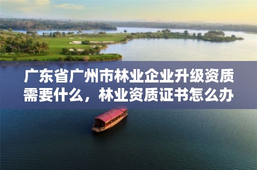 广东省广州市林业企业升级资质需要什么,林业资质证书怎么办理?