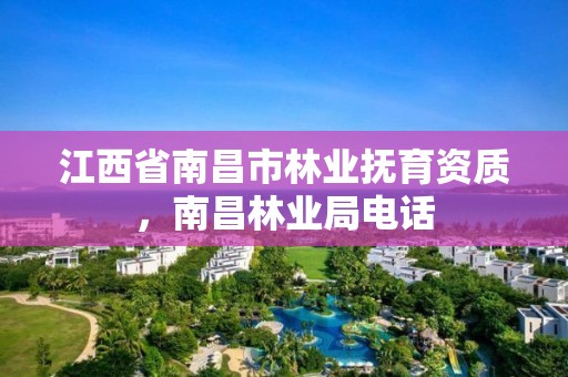 江西省南昌市林业抚育资质,南昌林业局电话