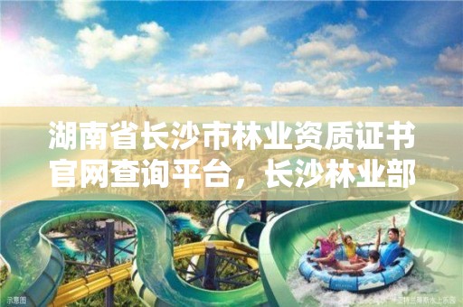 湖南省长沙市林业资质证书官网查询平台,长沙林业部门