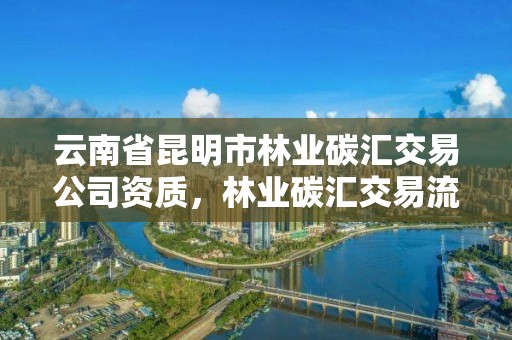 云南省昆明市林业碳汇交易公司资质，林业碳汇交易流程