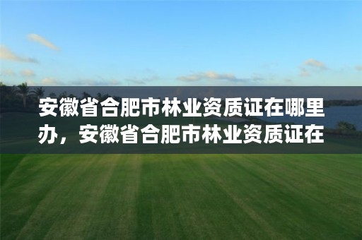 安徽省合肥市林业资质证在哪里办，安徽省合肥市林业资质证在哪里办的