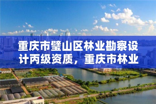 重庆市璧山区林业勘察设计丙级资质,重庆市林业局项目