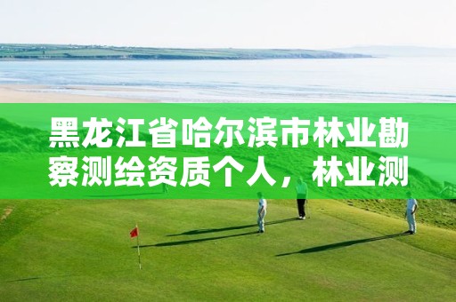 黑龙江省哈尔滨市林业勘察测绘资质个人,林业测绘资质哪里办理