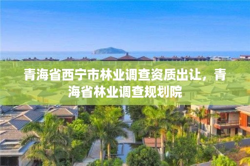 青海省西宁市林业调查资质出让，青海省林业调查规划院