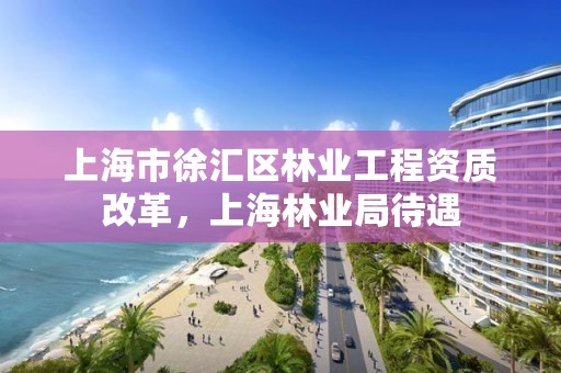 上海市徐汇区林业工程资质改革,上海林业局待遇