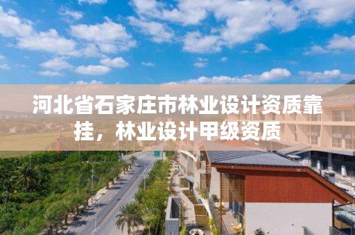 河北省石家庄市林业设计资质靠挂,林业设计甲级资质