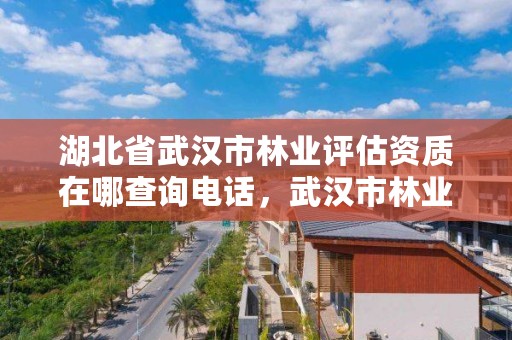 湖北省武汉市林业评估资质在哪查询电话,武汉市林业集团