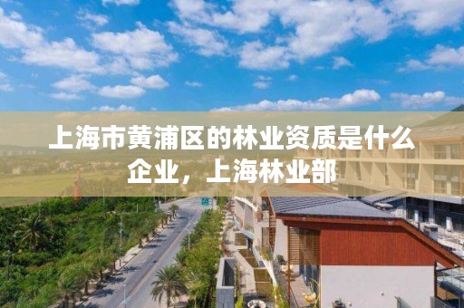 上海市黄浦区的林业资质是什么企业,上海林业部