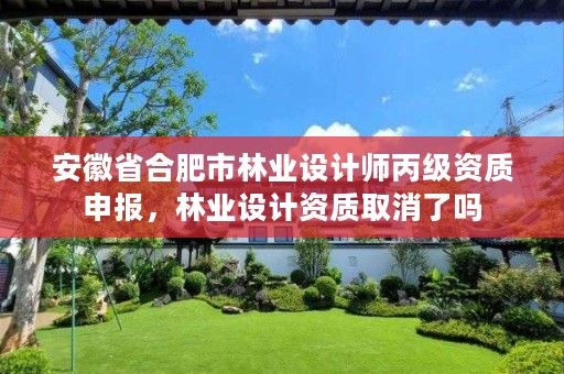 安徽省合肥市林业设计师丙级资质申报，林业设计资质取消了吗