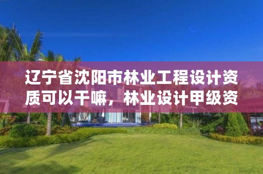 辽宁省沈阳市林业工程设计资质可以干嘛,林业设计甲级资质