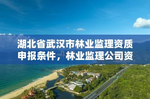 湖北省武汉市林业监理资质申报条件,林业监理公司资质有哪些