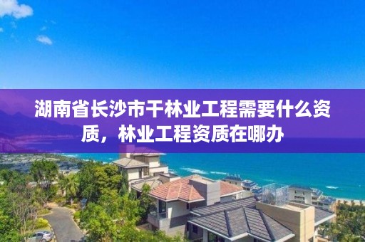 湖南省长沙市干林业工程需要什么资质,林业工程资质在哪办