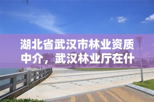 湖北省武汉市林业资质中介,武汉林业厅在什么位置