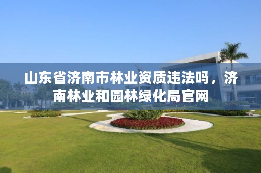 山东省济南市林业资质违法吗,济南林业和园林绿化局官网