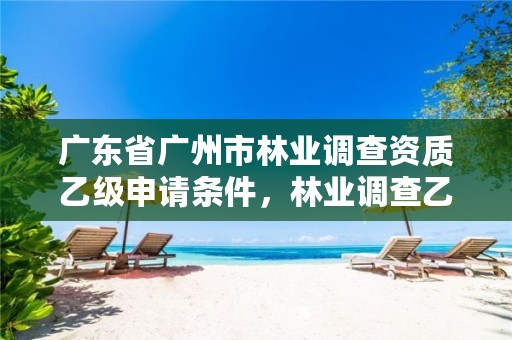 广东省广州市林业调查资质乙级申请条件,林业调查乙级资质证书
