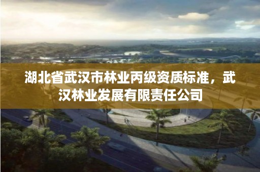 湖北省武汉市林业丙级资质标准,武汉林业发展有限责任公司