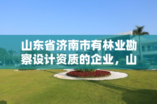 山东省济南市有林业勘察设计资质的企业,山东林勘院